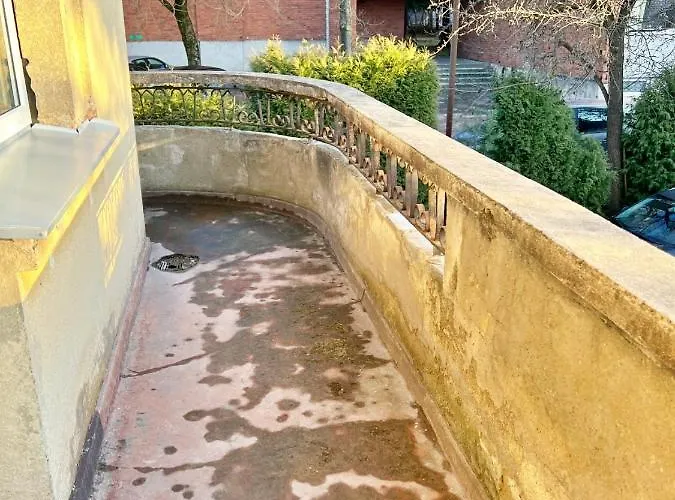 Clinic By Hostlovers Kaunas